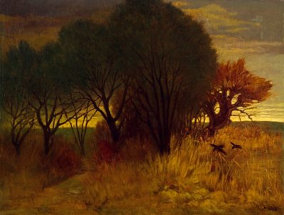 Moorlandschaft von Karl Haider