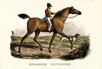 Englisches Rennpferd, 1824 von Karl Joseph Brodtmann