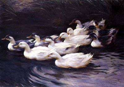 Enten von Karl Lindner