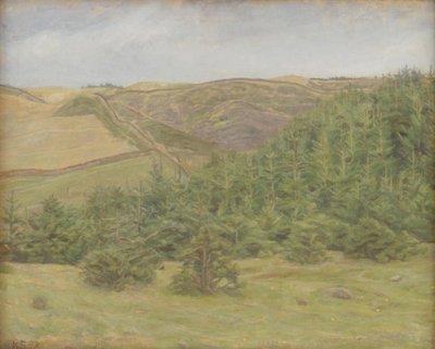 Svanninge Hügel, Fünen von Karl Schou
