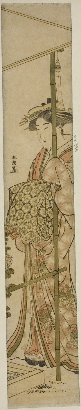 Kurtisane bewundert Chrysanthemen von Katsukawa Shuncho