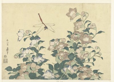 Ballonblume und Libelle von Katsushika Hokusai