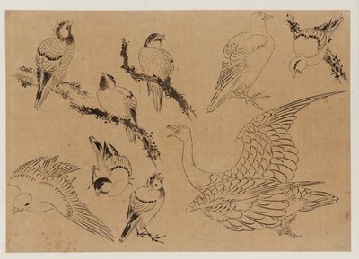 Vögel, Edo-Periode, spätes 18. - frühes 19. Jahrhundert von Katsushika Hokusai