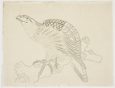 Falke auf einem Ast (Studie) von Katsushika Hokusai