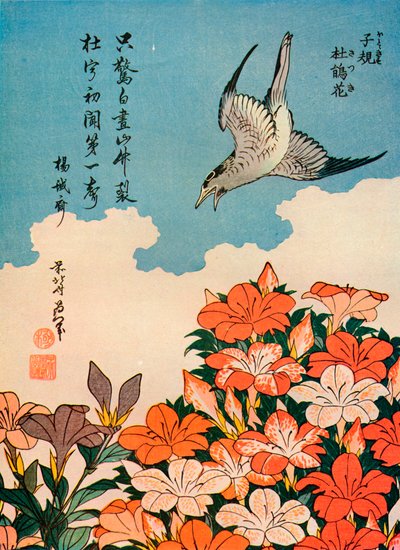 Hototogisu satsuki Kuckuck und Azalee, ca. 1828, 1936 von Katsushika Hokusai