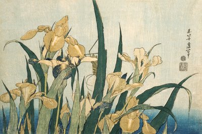 Schwertlilien mit einem Grashüpfer, veröffentlicht 1830 von Katsushika Hokusai