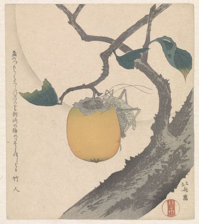 Kakifrucht mit Heuschrecke von Katsushika Hokusai
