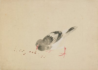 Taube von Katsushika Hokusai