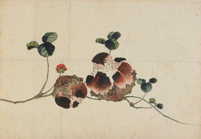 Granatäpfel von Katsushika Hokusai