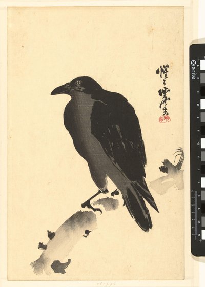 Krähe auf einem Baumstamm von Kawanabe Kyosai