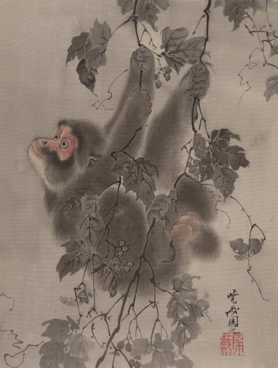 Affe hängt an Weinreben von Kawanabe Kyosai