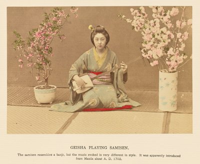 Geisha spielt Samisen von Kazumasa Ogawa