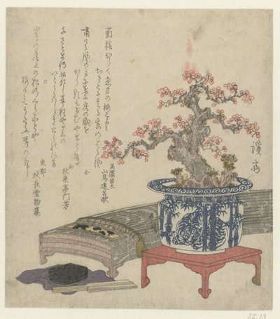 Koto mit Pflaumenblüte im Topf von Keisai Eisen