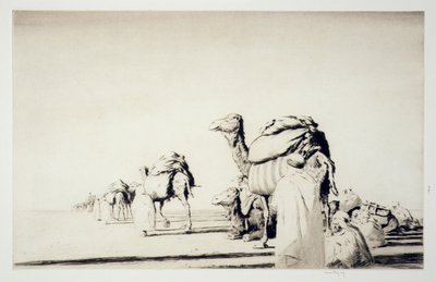 Wüstenfracht von Kerr Eby