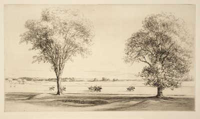 Polo von Kerr Eby