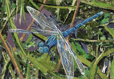 Blaue Libelle von Kirstie Adamson