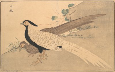 Bai xian, 1789 von Kitao Masayoshi