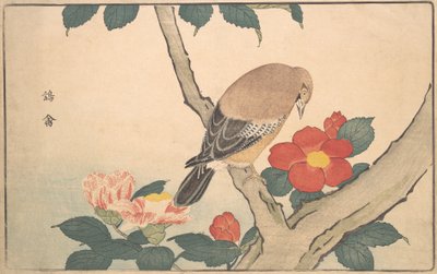Kamelien mit einem Vogel, 1789 von Kitao Masayoshi