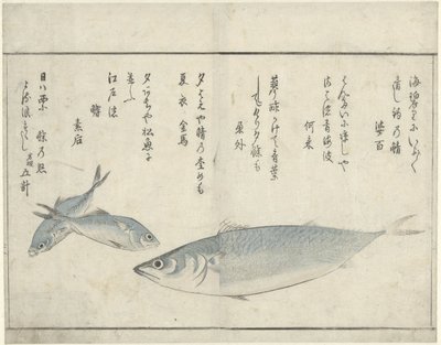 Drei Fische von Kitao Masayoshi