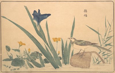 Die Bachstelze, 1789 von Kitao Masayoshi