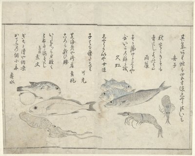 Meerestiere von Kitao Masayoshi