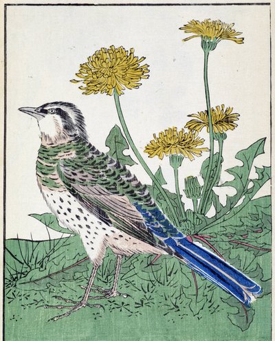Vogel. Japanische Zeichnung von Kitao Kosuisai von Kitao Shigemasa