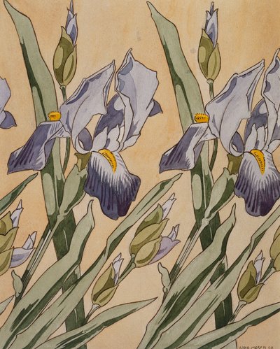 Iris, 1898 von Koloman Moser