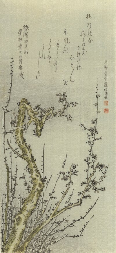 Alter Pflaumenbaum von Kubo Shunman