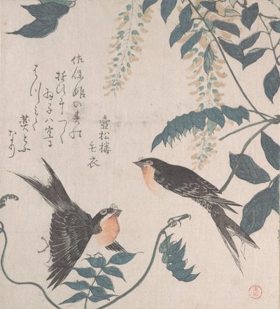 Schwalben und Glyzinien, 19. Jahrhundert von Kubo Shunman