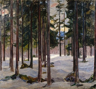 Bäume im Winterlicht von Lars Jorde