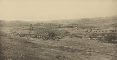Ranger zur Zusammenführung werfen von Laton Alton Huffman