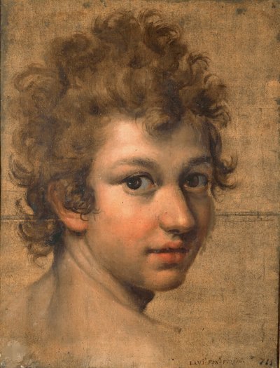 Porträt eines Jungen von Lavinia Fontana