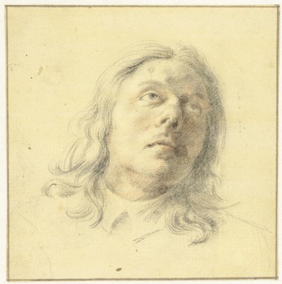 Kopf eines Mannes, aufblickend von Leendert van der Cooghen