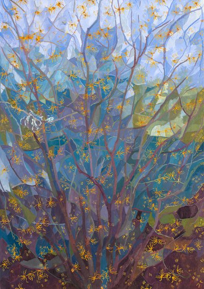 Zaubernuss in Blüte, 2015 von Leigh Glover