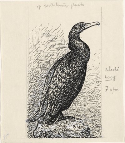 Kormoran von Leo Gestel