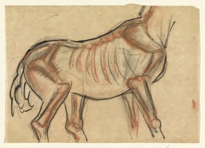 Skelett eines Pferdes von Leo Gestel