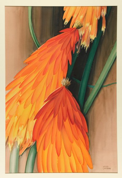 Fackellilie von Leon Carroll