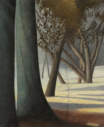 Buchenstämme von Leon Spilliaert