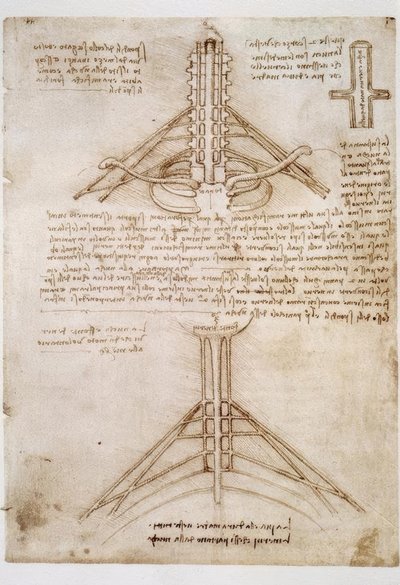 Anatomiestudien von Leonardo da Vinci