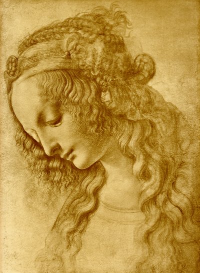 Weiblicher Kopf von Leonardo da Vinci