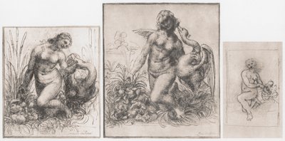 Leda und der Schwan, um 1504-1506 von Leonardo da Vinci