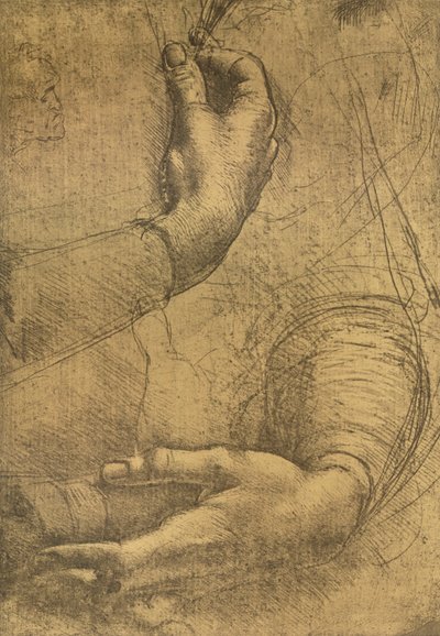 Studie weiblicher Hände, ca. 1472-1519 von Leonardo da Vinci