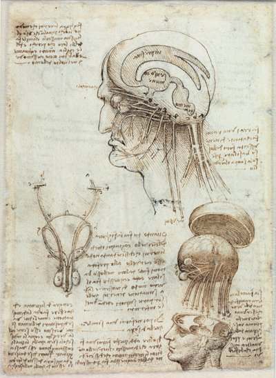 Unbekanntes Bild von Leonardo da Vinci
