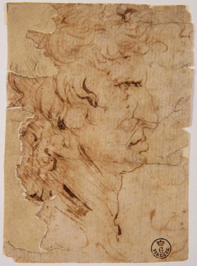 Unbekanntes Bild von Leonardo da Vinci