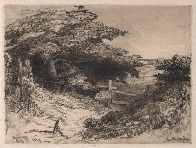 Quissett, Barnstable County, Massachusetts, 1879 von Leroy Milton Yale