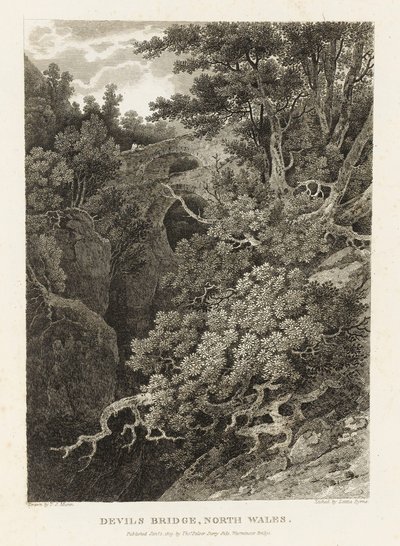 Teufelsbrücke, Nordwales von Letitia Byrne