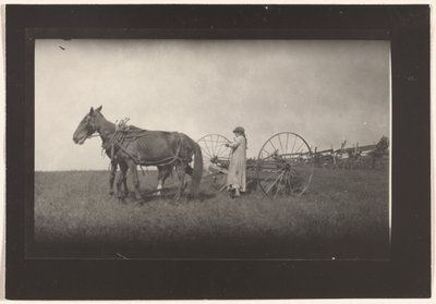 Bauernszene, Massachusetts von Lewis W. Hine