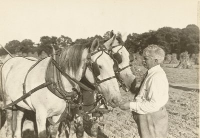 Ohne Titel von Lewis Wickes Hine