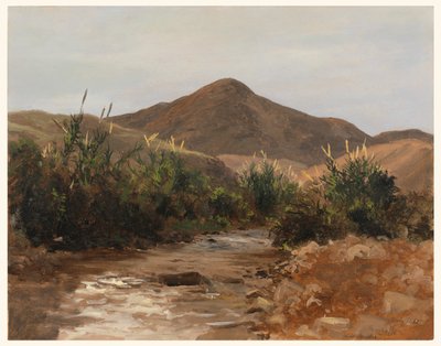 In der Nähe von Jericho, Wady Kilt von Lockwood de Forest