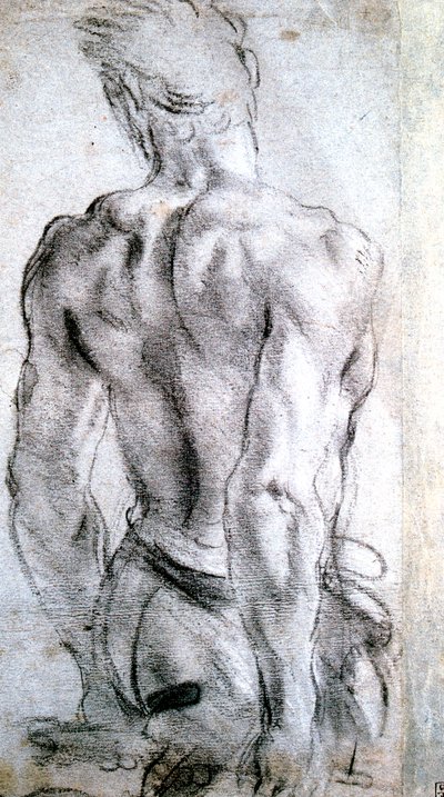 Studie einer Figur, um 1560-1609 von Lodovico Carracci